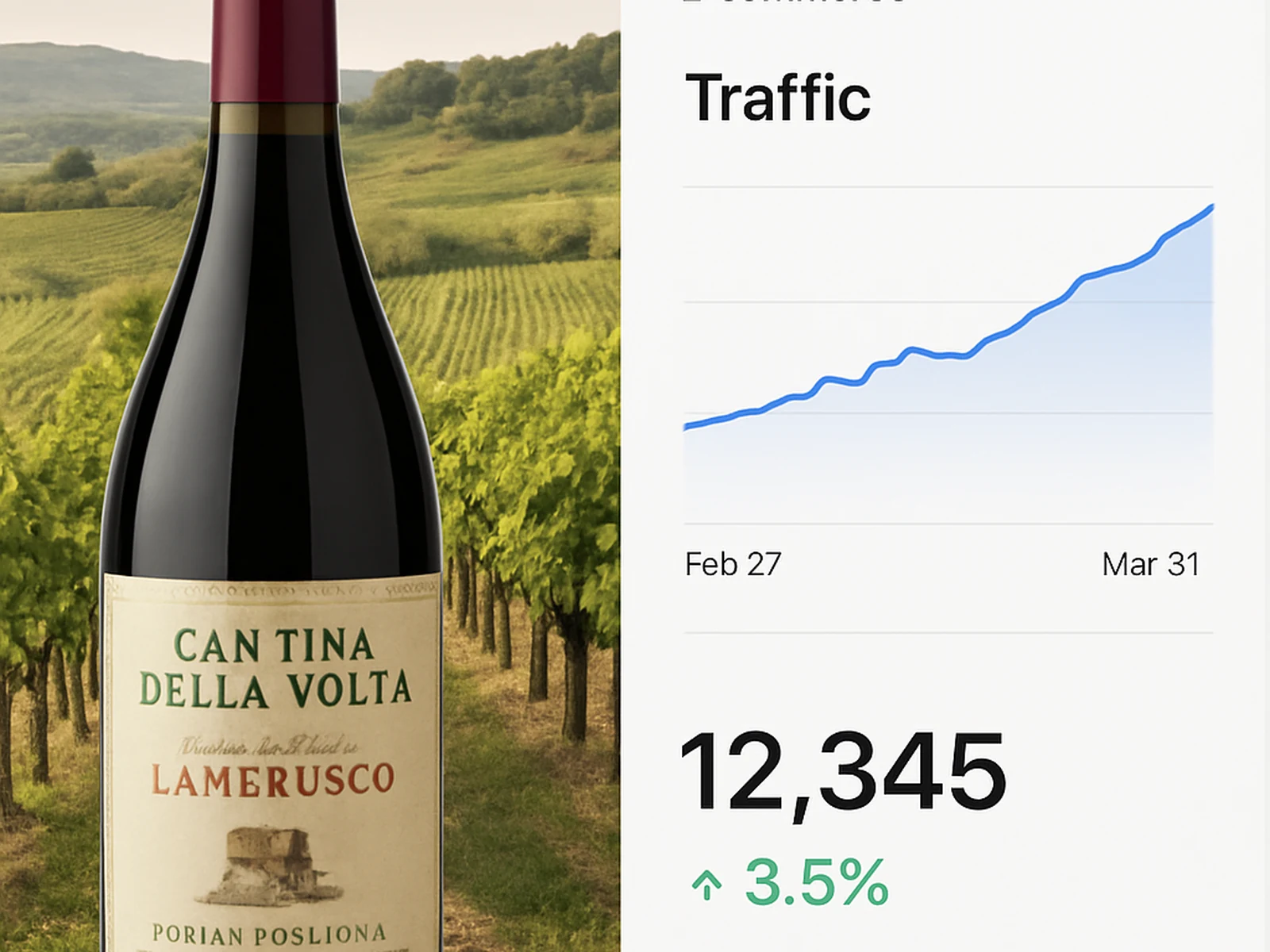 Cantina Della Volta